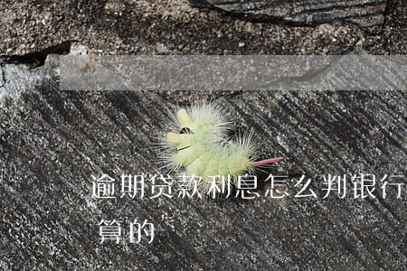 逾期贷款利息怎么判(银行贷款逾期利息怎么算的)