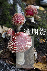 逾期贷款呆账坏账(贷款逾期变成呆账什么意思)