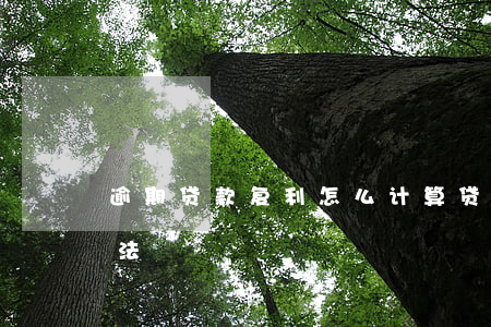 逾期贷款复利怎么计算(贷款逾期复利计算方法)