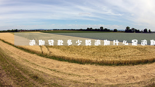 逾期贷款多少算逾期(什么是逾期贷款)
