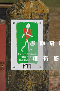 逾期贷款担保人的诚信(借款人逾期担保人征信有影响吗)