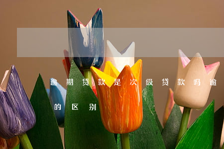 逾期贷款是次级贷款吗(逾期贷款和不良贷款的区别)
