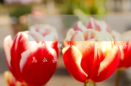 逾期贷款没钱还怎么办(房贷没钱还,要逾期了怎么办)