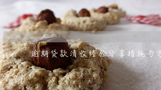 逾期贷款清收经验分享：措施与方案全解析