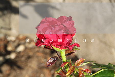 逾期贷款的会计分录