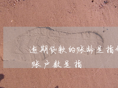 逾期贷款的账龄是指什么(征信发生过逾期的账户数是指)