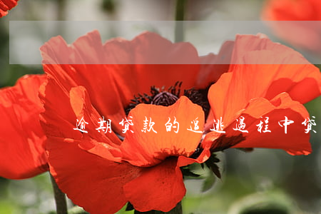 逾期贷款的追逃过程中(贷款逾期恶意逃避)