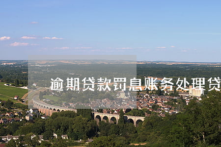 逾期贷款罚息账务处理(贷款逾期罚款怎么罚)