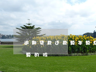 逾期贷款还款算本算息(逾期利息是按本金计算的吗)