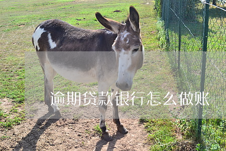 逾期贷款银行怎么做账