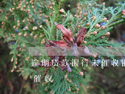 逾期贷款银行未催收(银行贷款拖欠多久会被催收)
