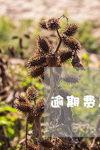 逾期费怎么算才合法啊 逾期一般怎么收费