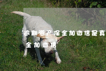 逾期资产保全加微信是真的吗 信用卡资产保全加微信