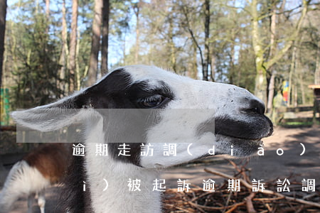 逾期走訪調(diào)查后多久會(huì)被起訴(逾期訴訟調(diào)查組)