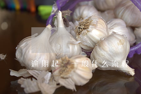 逾期起訴一般什么流程