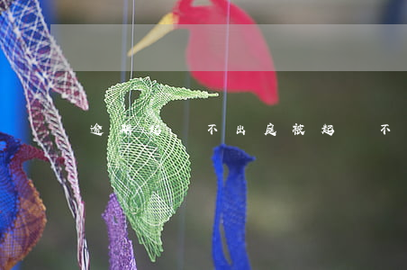 逾期起訴不出庭(被起訴不出庭)