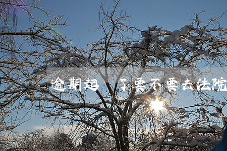 逾期起訴了要不要去法院(逾期會上法院嗎)