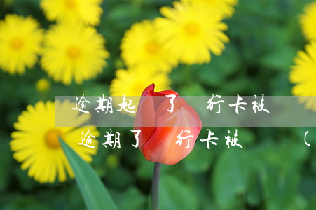 逾期起訴了銀行卡被凍結(jié)怎么辦(逾期了銀行卡被凍結(jié)了怎么辦)