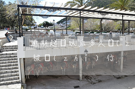 逾期起訴以后多久執(zhí)行 逾期多久被執(zhí)行