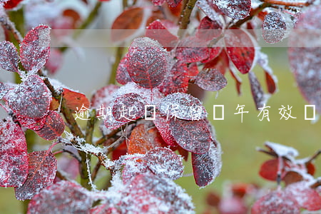 逾期起訴保留幾年有效(訴訟保留幾年有效期)