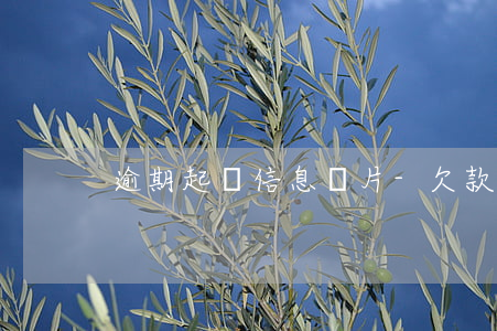 逾期起訴信息圖片-欠款逾期圖片