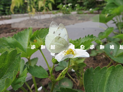 逾期起訴信息(逾期被起訴短信)