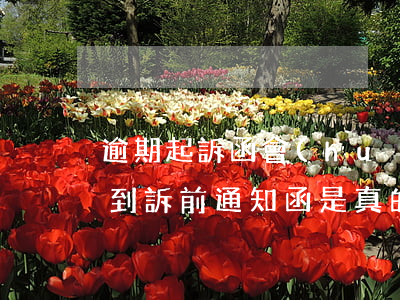 逾期起訴函會(huì)寄到公司嗎(逾期收到訴前通知函是真的嗎)