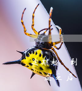 逾期起訴到開庭之后還能回家嗎(逾期起訴到開庭之后還能回家嗎)