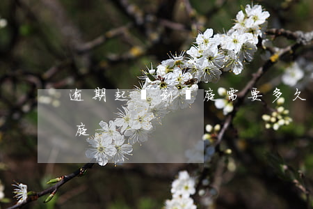 逾期起訴到開庭需要多久(起訴了要多久才開庭)