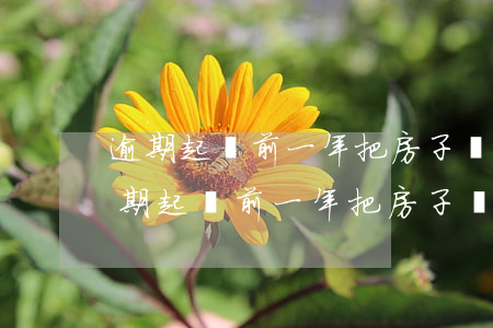 逾期起訴前一年把房子賣(mài)了-逾期起訴前一年把房子賣(mài)了