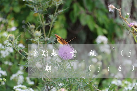 逾期起訴前會被凍結(jié)賬戶(還在上訴期會凍結(jié)賬戶嗎)