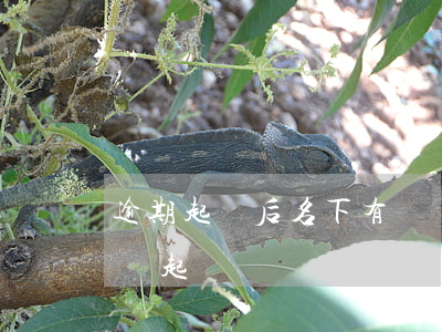 逾期起訴后名下有車會怎么樣(車貸逾期會不會起訴)