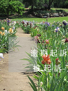 逾期起訴后按時(shí)還款可以撤訴嗎(被起訴了還款會(huì)撤訴嗎)