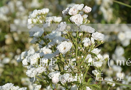 逾期起訴后還是沒(méi)錢(qián)還(逾期起訴后還是沒(méi)錢(qián)還)