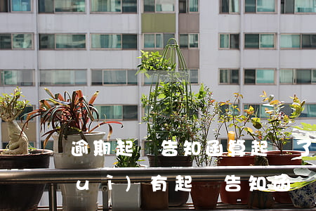 逾期起訴告知函算起訴了嗎(起訴之前會(huì)有起訴告知函嗎)