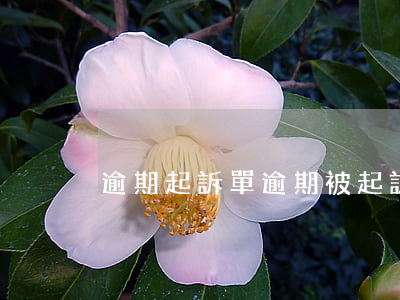逾期起訴單(逾期被起訴了)