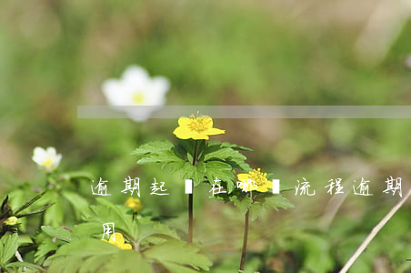 逾期起訴在哪個流程(逾期起訴需要付哪些費用)