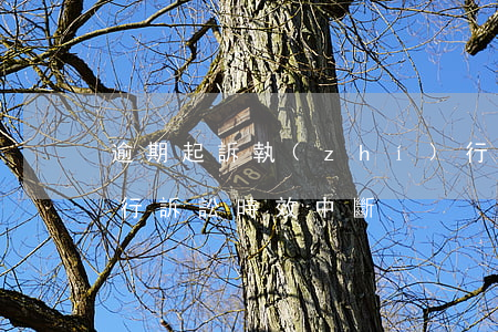 逾期起訴執(zhí)行中止(執(zhí)行訴訟時效中斷)