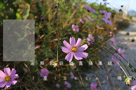 逾期起訴就直接凍結(jié)財(cái)產(chǎn)嗎 貸款逾期起訴會(huì)凍結(jié)家人財(cái)產(chǎn)