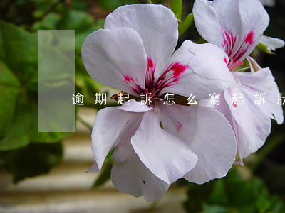 逾期起訴怎么寫(起訴狀逾期利息怎么寫)