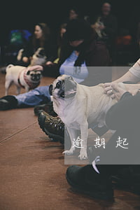 逾期起訴怎么查詢（逾期被起訴咋查詢）