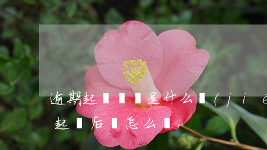 逾期起訴敗訴是什么結(jié)果(逾期被起訴后會怎么樣)