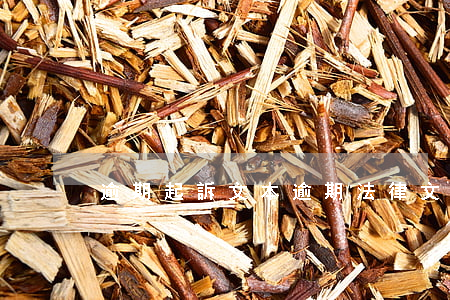 逾期起訴文本 逾期法律文書