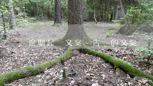 逾期起訴文案-告狀的文案