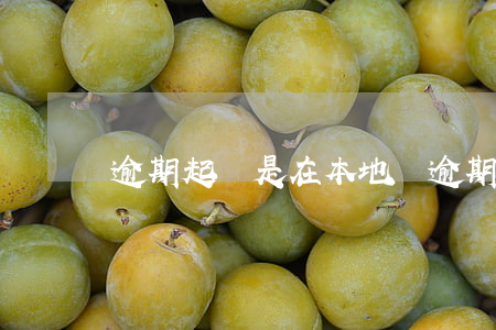 逾期起訴是在本地嗎(逾期可以起訴嗎)