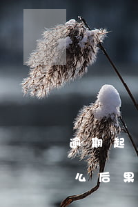 逾期起訴是好還是壞 逾期被法院起訴會有什么后果