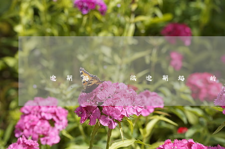 逾期起訴時效（逾期起訴的依據(jù)）
