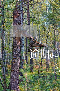 逾期起訴書會發(fā)到哪里-逾期被起訴會以什么方式通知