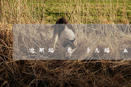 逾期起訴最遲多久起訴立案
