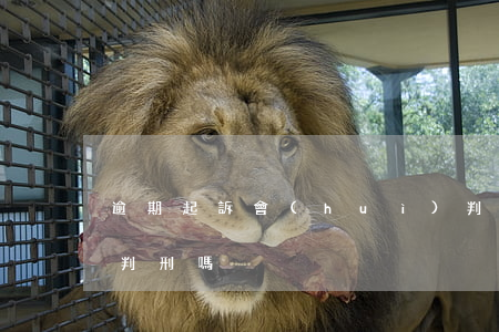 逾期起訴會(huì)判刑嗎(貸款逾期起訴判刑嗎)